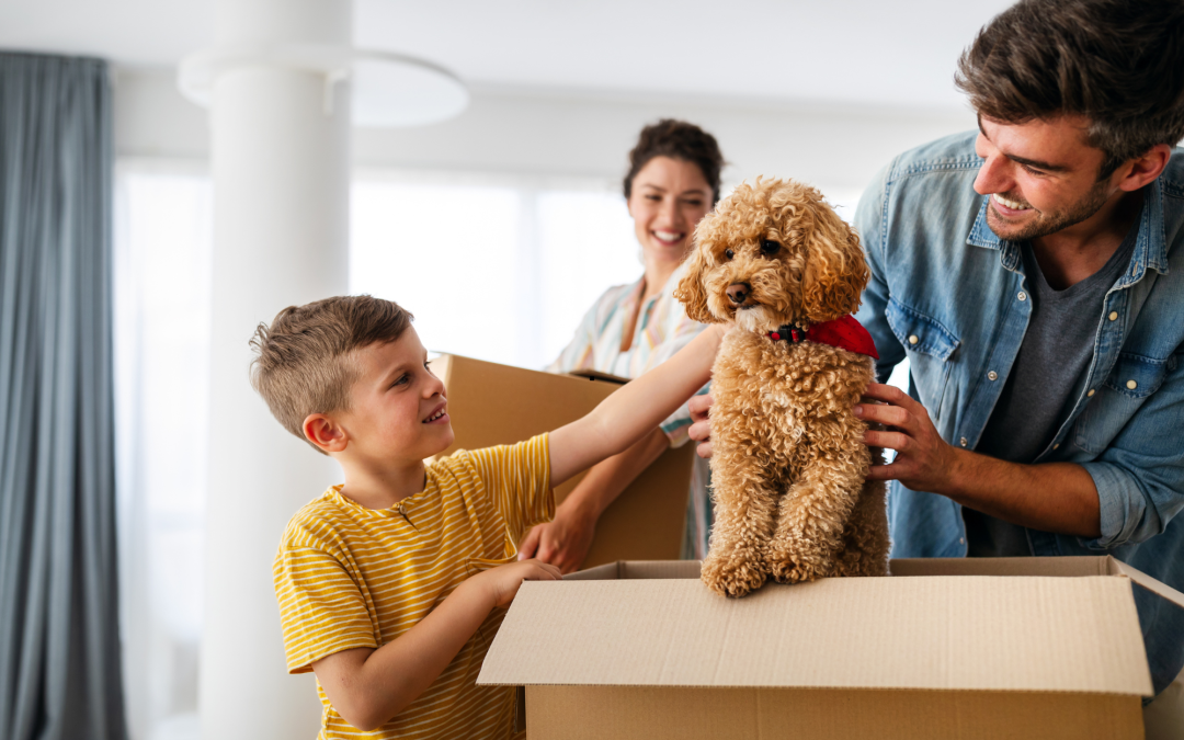 How to Successfully Welcome a New Pet into Your Home: A Comprehensive Guide